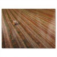 Benjamin Tate Design Aerial view of hay bale fields Designer Glass Chopping Board in Natural