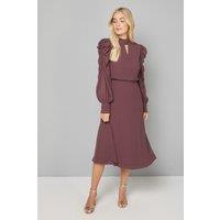 Wallis Women's PETITE EMBELLISHED RUCHED SLEEVE MIDI DRESS in Chocolate | Size: 20