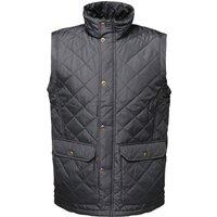 Regatta Professional Men's Quilted Body Warmer in Navy | Size: 2XL