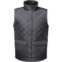 Regatta Professional Men's Quilted Body Warmer in Navy | Size: Large