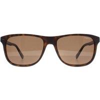 Banana Republic Men's Rectangle Matte Havana Brown Polarized BR 1004/S