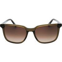 Banana Republic Men's Brown SF Lensed Green Sunglasses