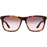 BMW Men's Square Blonde Havana Smoke Gradient BW0002-H Sunglasses in Brown