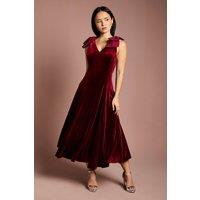 Coast Women's Petite Hotfix Bow Shoulder Velvet Midi Dress in Wine | Size: 8