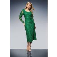 Dorothy Perkins Women's DP Luxe Scoop Neck Lace Pencil Dress in Green | Size: 14