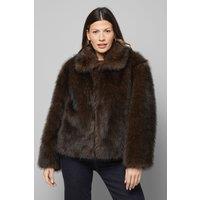 Wallis Women's Zip Through Short Fur Coat in Chocolate | Size: 14