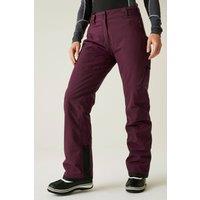 Dare 2b Women's 'Ice' Ski Pants in Purple | Size: 20