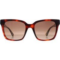 Kate Spade Women's Square Havana Brown Gradient Harlow/G/S