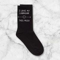 60 SECOND MAKEOVER Men's I Love My Labrador This Much Socks in Black