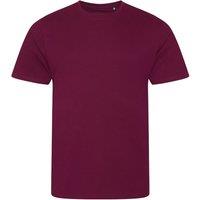Ecologie Men's Cascades T-Shirt in Burgundy | Size: XL
