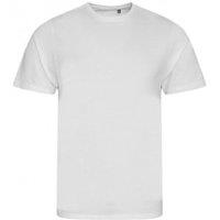 Ecologie Men's Cascades T-Shirt in White | Size: 3XL