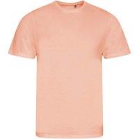 Ecologie Men's Cascades T-Shirt in Peach | Size: XL