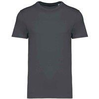 Native Spirit Men's Heavyweight Slim T-Shirt in Grey | Size: XL