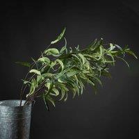 Love Lace Eucalyptus Nicholii Spray Artificial Flower in Green