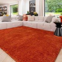 Kukoon Machine Washable Shaggy Rug Luxury Pile Terracotta Bedroom Mat in Burnt Orange | Size: 120 cm x 170 cm