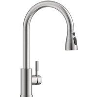 Appaso Kitchen Sink Mixer Taps with Pull Out Spray, Solid Stainless Stee in Silver