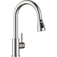 Appaso Kitchen Mixer Tap with Pull Out Spray & 360 Swivel in Silver