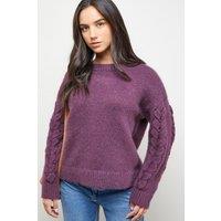 Oasis Women's Cable Knit Sleeve Crew Neck Cosy Jumper in Aubergine | Size: Large