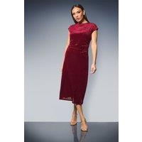 Principles Women's Striped Velvet Ruched Waist Midi Dress in Berry | Size: 16