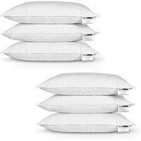 Homescapes Duck Feather Pillow x 6 in White