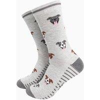 Sock Talk Men's Bamboo Socks - Grey, Staffy Bull Terrier in Grey | Size: 7-11