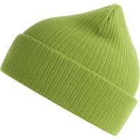 Atlantis Men's Nelson Ribbed Cotton Beanie in Pale Green