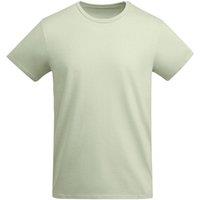 ROLY Men's Breda Plain T-Shirt in Light Green | Size: 2XL