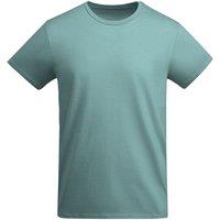 ROLY Men's Breda Plain T-Shirt in Grey | Size: 3XL