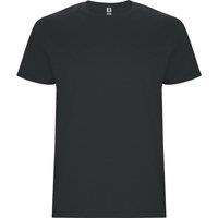 ROLY Men's Stafford T-Shirt in Jet Black | Size: 2XL