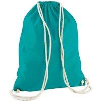 Westford Mill Men's Cotton Drawstring Bag in Emerald