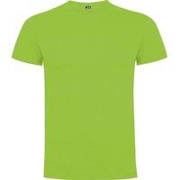 ROLY Men's Dogo Premium T-Shirt in Dark Olive | Size: Small