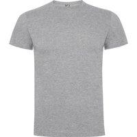 ROLY Men's Dogo Premium T-Shirt in Grey | Size: 2XL