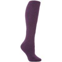 SOCKSHOP Heat Holders Women's 1 Pair Long 2.3 TOG Thermal Socks in Plum | Size: 4-8