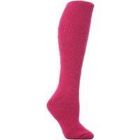 SOCKSHOP Heat Holders Women's 1 Pair Long 2.3 TOG Thermal Socks in Raspberry | Size: 4-8