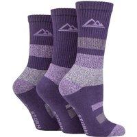 SOCKSHOP Storm Bloc Women's 3 Pair Cotton Striped Boot Socks in Purple | Size: 4-8