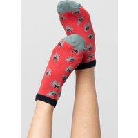 Lily & Me Women's Claudia Super Soft Bamboo Trainer Socks | Size: 4-8