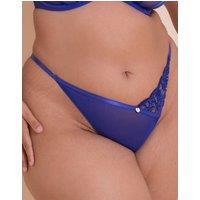 Scantilly Women's Ornate Thong Brief Knickers in Blue | Size: XL
