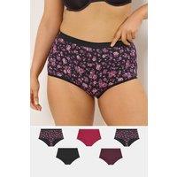 Yours Women's 5 Pack Floral Full Briefs in Burgundy | Size: 34-36