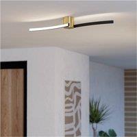 Loops Stylish Modern Brushed Brass & Black Ceiling Light for Indoor Spaces