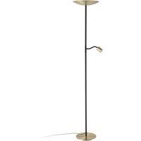 Loops Stylish Brushed Brass & Black LED Floor Lamp for Indoor Space