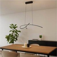 Loops Stylish Black LED Pendant Light - Perfect Indoor Ceiling Fixture