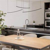 Loops Stylish Modern Black LED Pendant Light for Indoor Ceiling Illumination