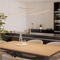 Loops Elegant Matte Brass LED Pendant Ceiling Light for Modern Interiors in Amber