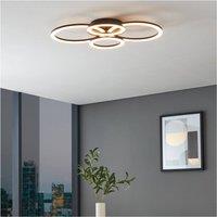 Loops Stylish Black Pendant Light - Indoor Ceiling Fixture for Home Decor