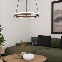 Loops Stylish Design Bronze & Black LED Indoor Pendant Ceiling Light