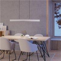 Loops Stylish Grey Pendant Ceiling Light for Contemporary Indoor Space