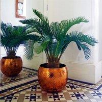Leaf 80cm Cycas Palm Plant Artificial Tropical Tree in Green