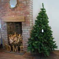 Samuel Alexander 6ft (180cm) Luxury Green Christmas Tree 525 Tips 115cm Wide