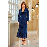 FS Collection Women's Floral Velvet Devore Lace Trim Neckline Midi Dress In Navy | Size: XS
