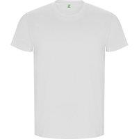 ROLY Men's Golden Plain Short-Sleeved T-Shirt in White | Size: Small